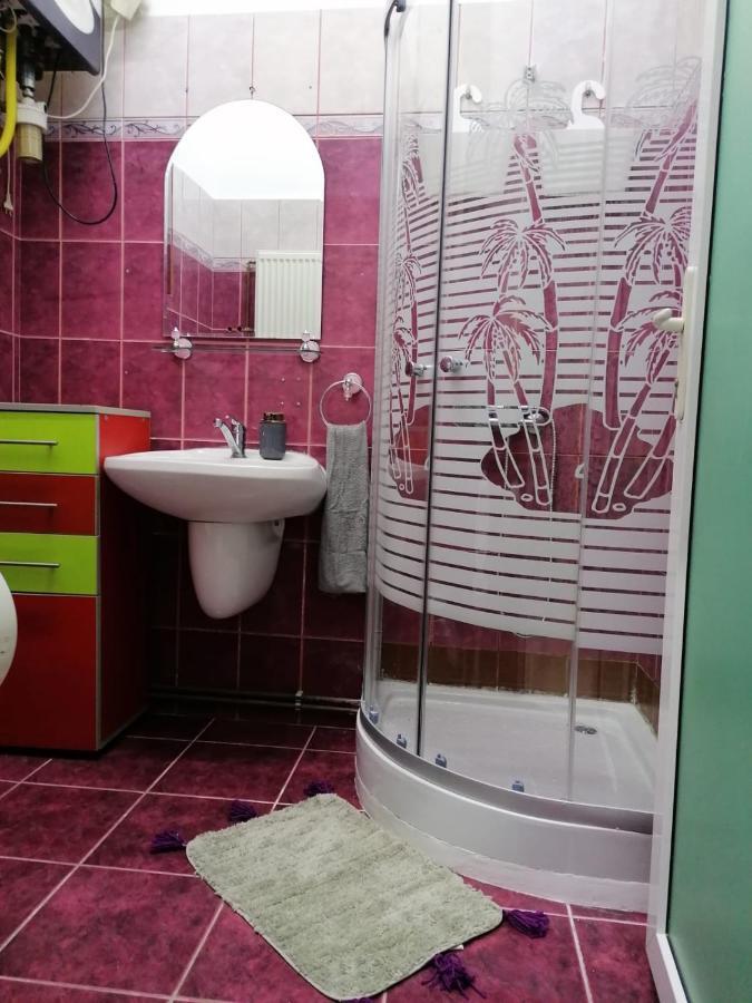 Апартаменты Apartament Josefin Тимишоара Экстерьер фото